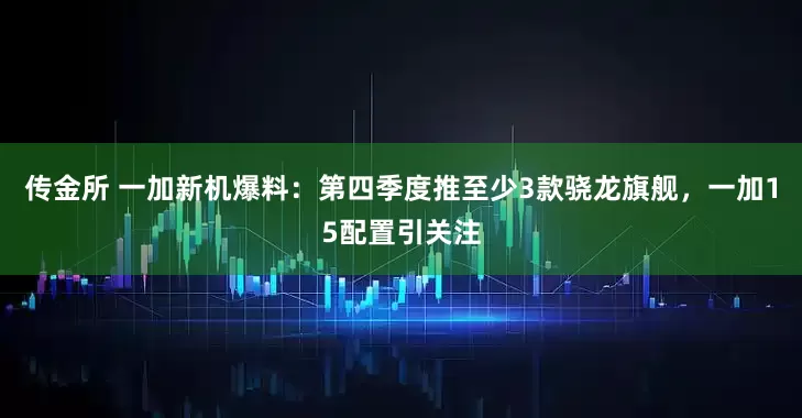 传金所 一加新机爆料：第四季度推至少3款骁龙旗舰，一加15配置引关注