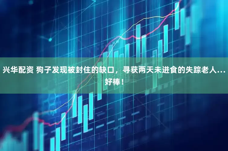 兴华配资 狗子发现被封住的缺口，寻获两天未进食的失踪老人…好棒！