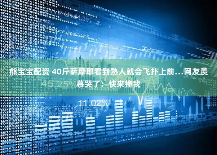 熊宝宝配资 40斤萨摩耶看到熟人就会飞扑上前…网友羡慕哭了：快来撞我