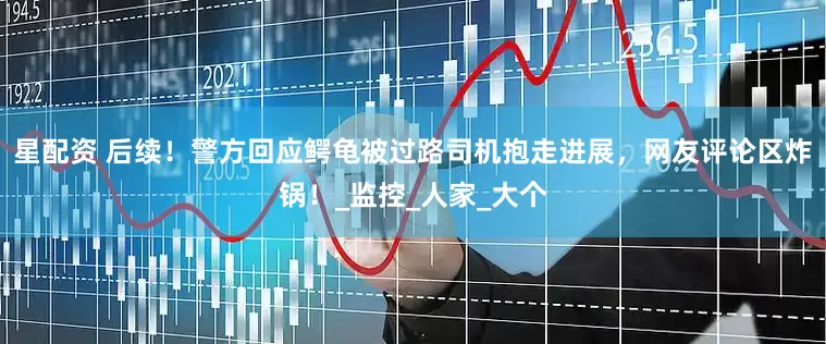星配资 后续！警方回应鳄龟被过路司机抱走进展，网友评论区炸锅！_监控_人家_大个