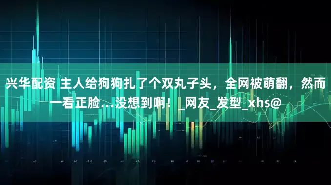 兴华配资 主人给狗狗扎了个双丸子头，全网被萌翻，然而一看正脸…没想到啊！_网友_发型_xhs@