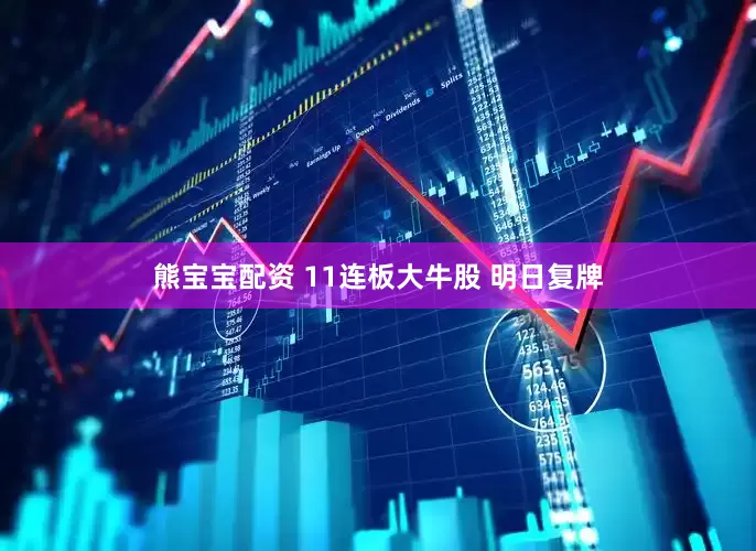 熊宝宝配资 11连板大牛股 明日复牌