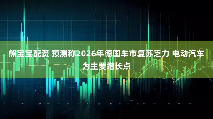 熊宝宝配资 预测称2026年德国车市复苏乏力 电动汽车为主要增长点