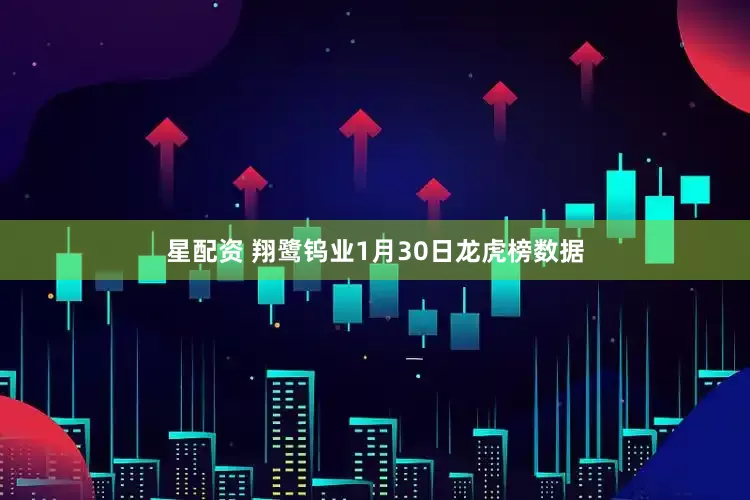星配资 翔鹭钨业1月30日龙虎榜数据