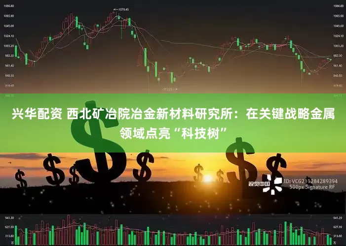 兴华配资 西北矿冶院冶金新材料研究所：在关键战略金属领域点亮“科技树”