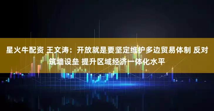 星火牛配资 王文涛：开放就是要坚定维护多边贸易体制 反对筑墙设垒 提升区域经济一体化水平